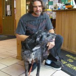 Dog with Owner