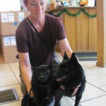 2 Small Black Dogs with Owner