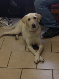 Charlie girl
