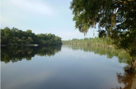 The Suwannee River 