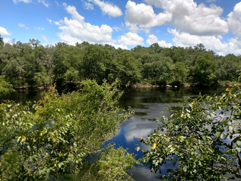 Outdoor View of Suwannee River