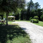 Back-In RV Site