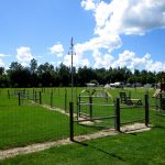 Dog Park