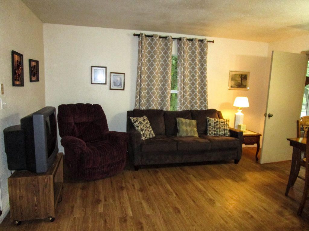 Couch, Recliner & TV in Lodge Room #4