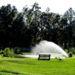 Pond with Fountain