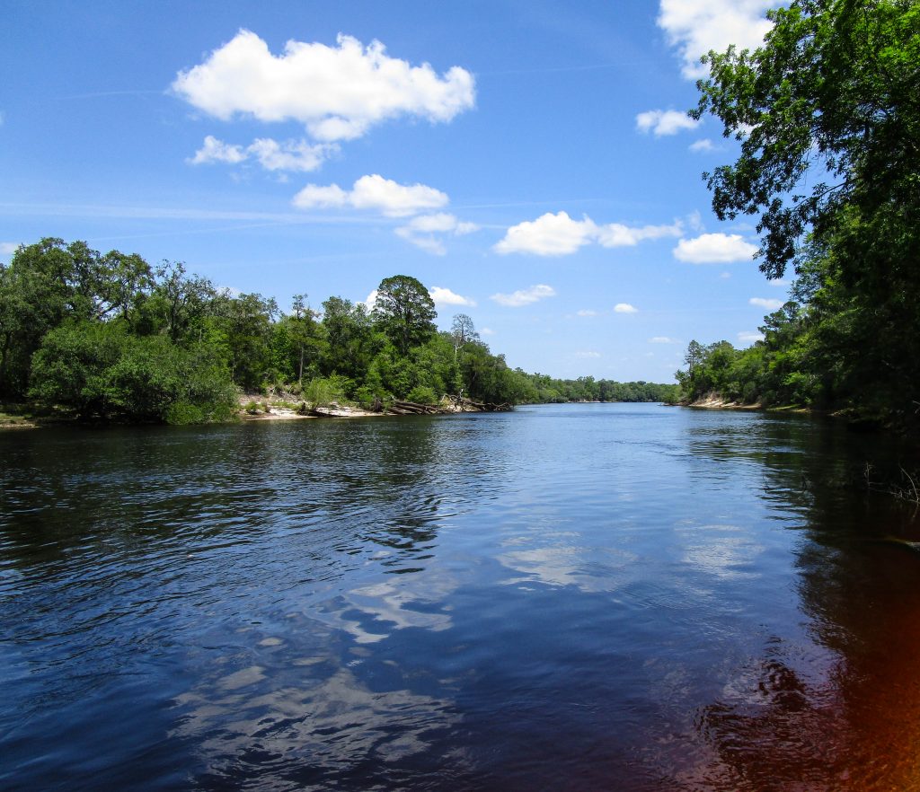 Suwannee River camping in Mayo, FL