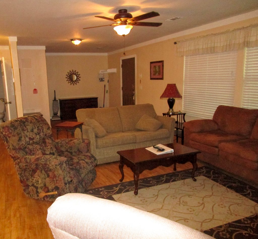 Seating in Tree House Living Room