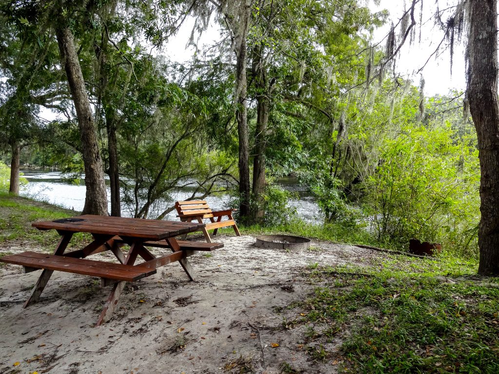 Picnic Table, Bench & Firepit